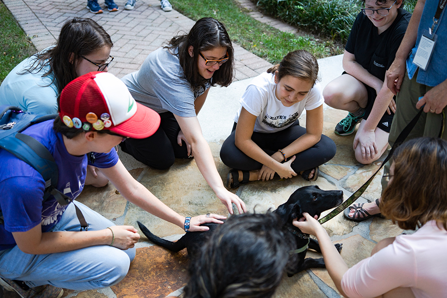 group of students petting support dogs on campus