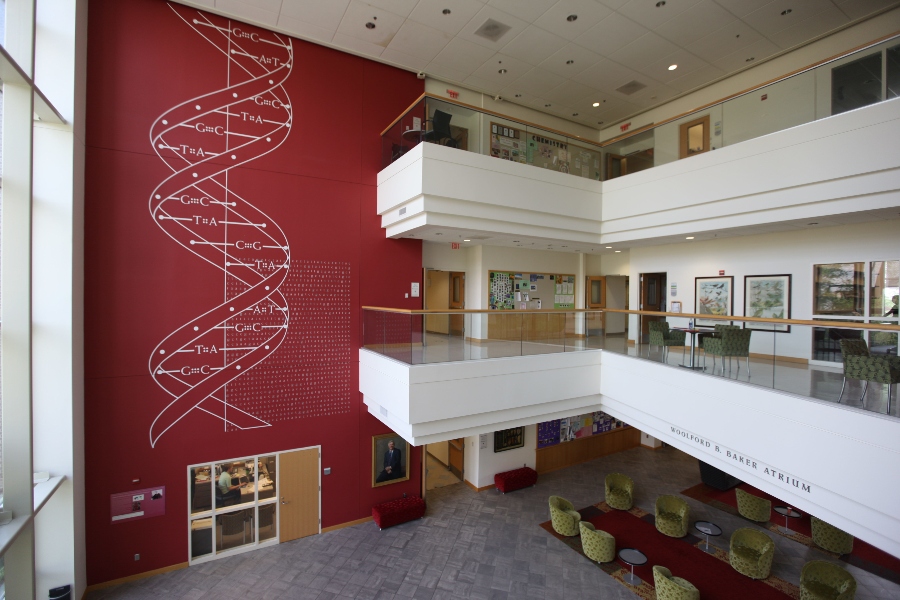 Science Center Lobby displaying a DNA sequence art piece